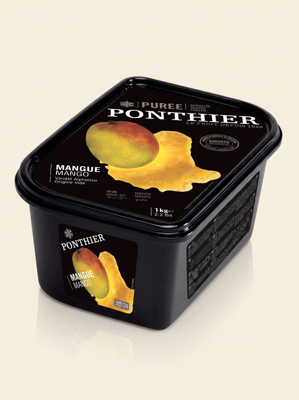 Заморожене пюре Манго 100%, Ponthier Франція